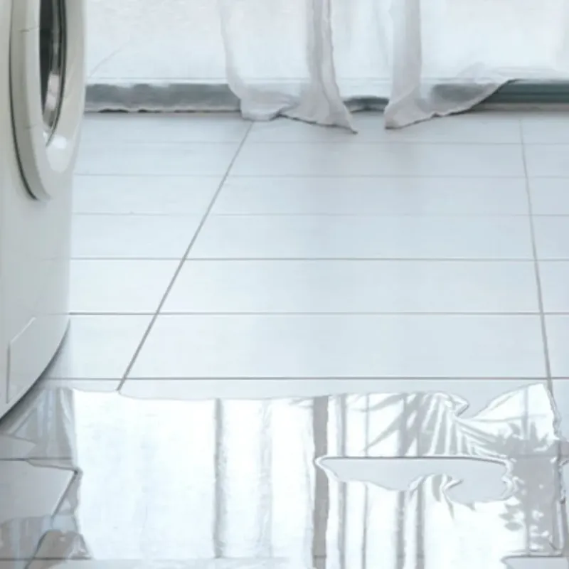 Appliance Leak Cleanup in Edgewater, MD